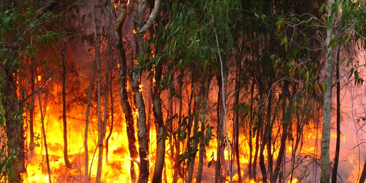 Incendie