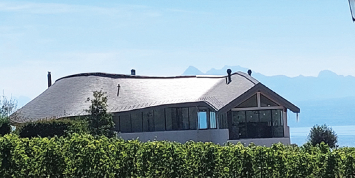 Drv 3 services pour une villa cossue sur les bords du Léman