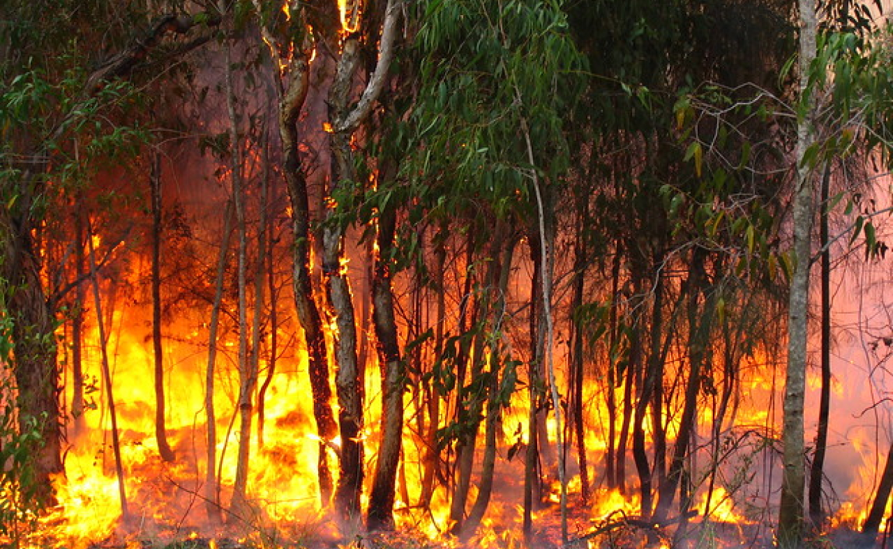 Incendie